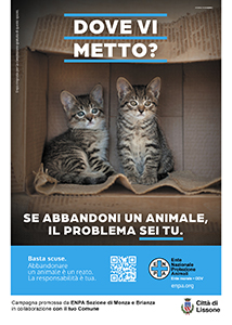 Comune di Lissone | manifesto campagna ENPA contro abbandono 2023  - gatto